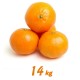 Mandarina 14 kg