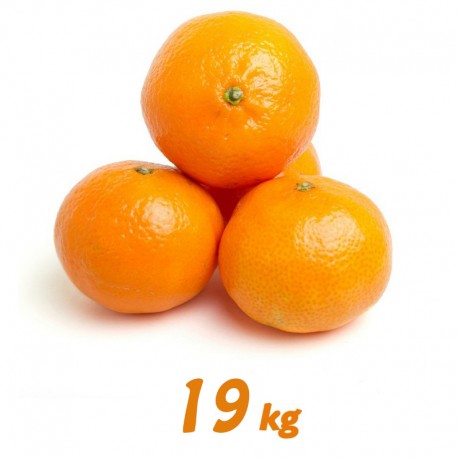 Mandarina 19 kg