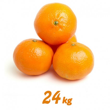 Mandarina 24 kg