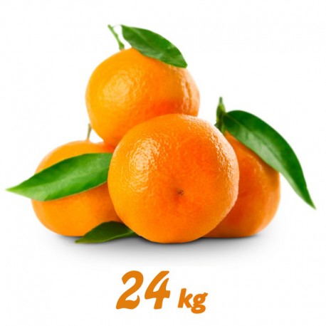 Naranjas 24 kg